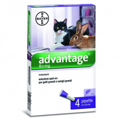 Advantage 80 (4 pipettes) Antiparasitic for cats and rabbits