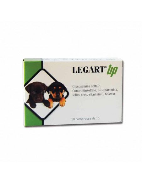 LEGART UP (30 cpr), shop Online