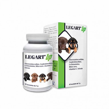 LEGART UP (60 cpr), shop Online