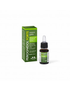 PEROGNIDOL FORTE DROPS 15 ml, shop Online