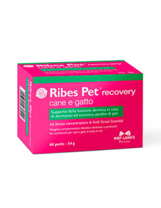RIBES PET RECOVERY 60 perle Miglior Prezzo