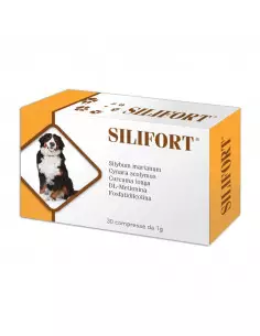 SILIFORT 30 cpr Miglior Prezzo