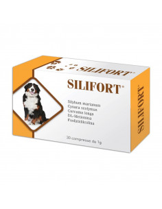 SILIFORT 30 cpr, shop Online