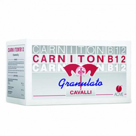 CARNITON B12 (20 sachets of 25 gr) Improves performance, shop