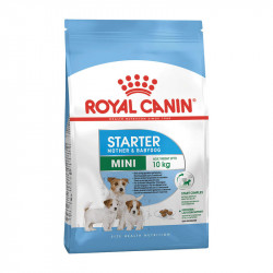 ROYAL CANIN Starter mini 8.