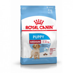 ROYAL CANIN medium puppy 4 KG, shop Online