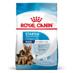 ROYAL CANIN starter maxi 4 KG Miglior Prezzo