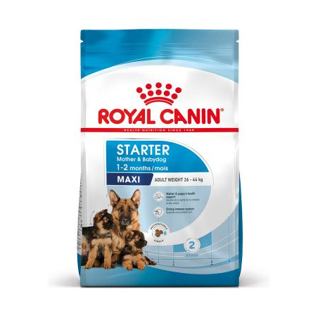 ROYAL CANIN starter maxi 4 KG, shop Online