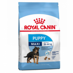 ROYAL CANIN maxi puppy, shop Online