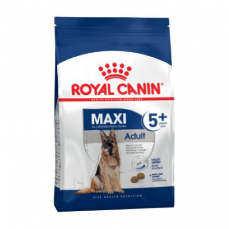 ROYAL CANIN maxi adult 5+ 15 KG, shop Online