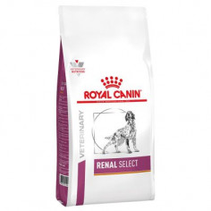 ROYAL CANIN renal 2 KG Miglior Prezzo
