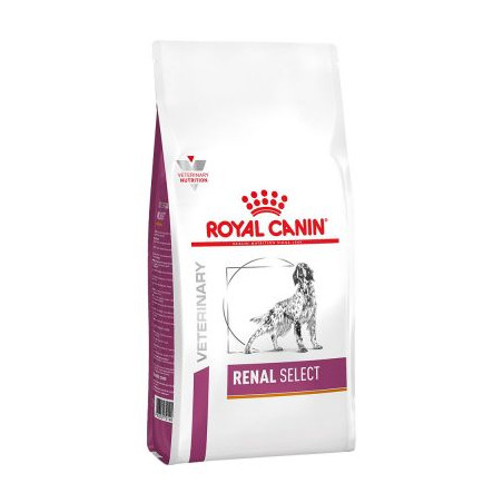 ROYAL CANIN renal 2 KG, shop Online