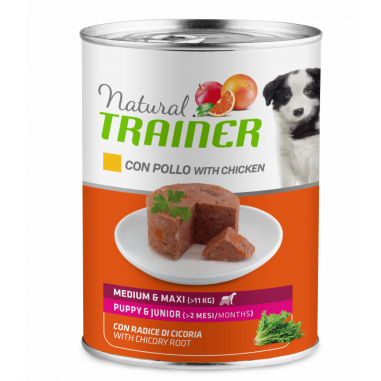 NATURAL TRAINER adult chicken 400 G, shop Online